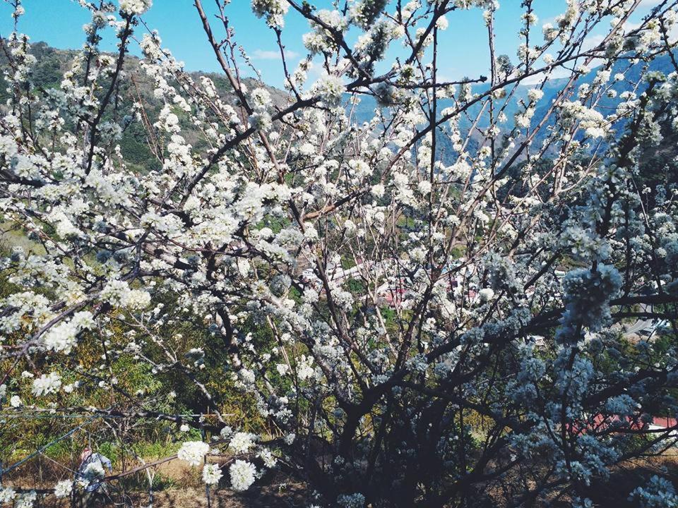 Shan Ju Lake Villa Renai Dış mekan fotoğraf